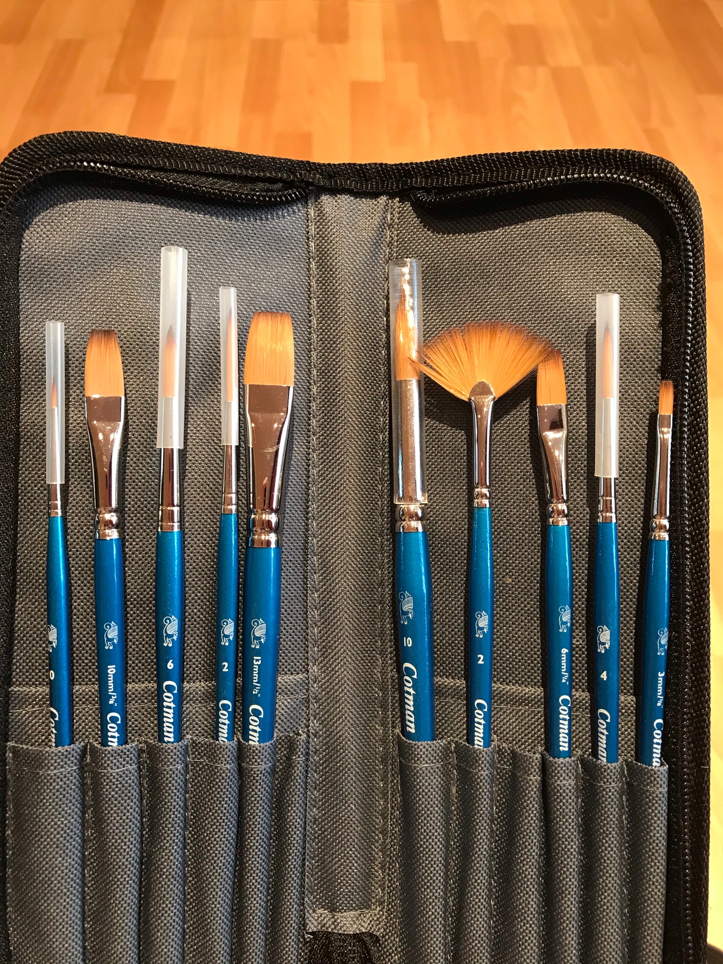 Winsor & Newton Cotman Watercolour Brushes in Wallet Set